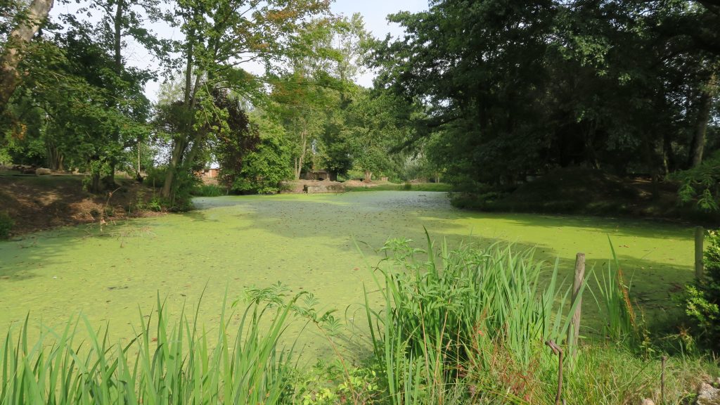 Iper hooge crater vijver